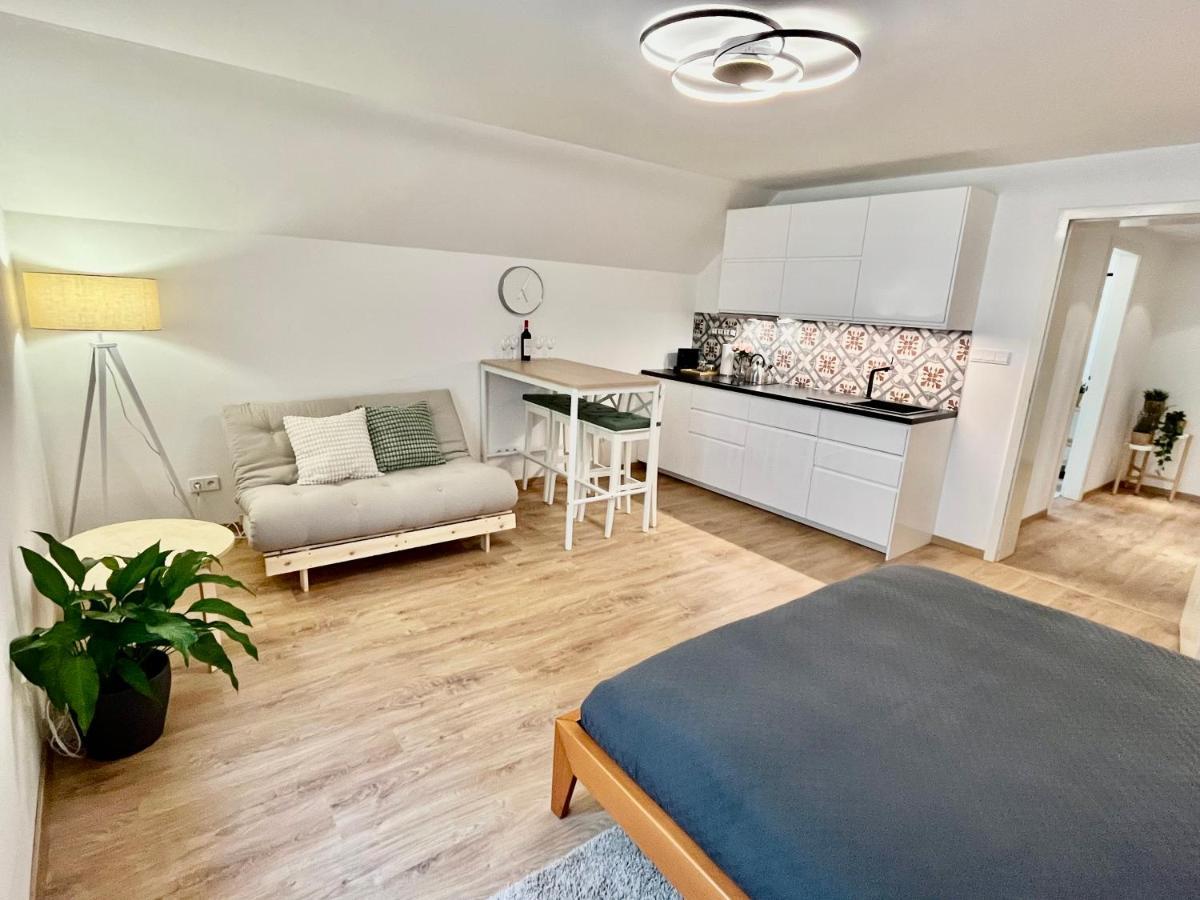 Dlouha Apartment