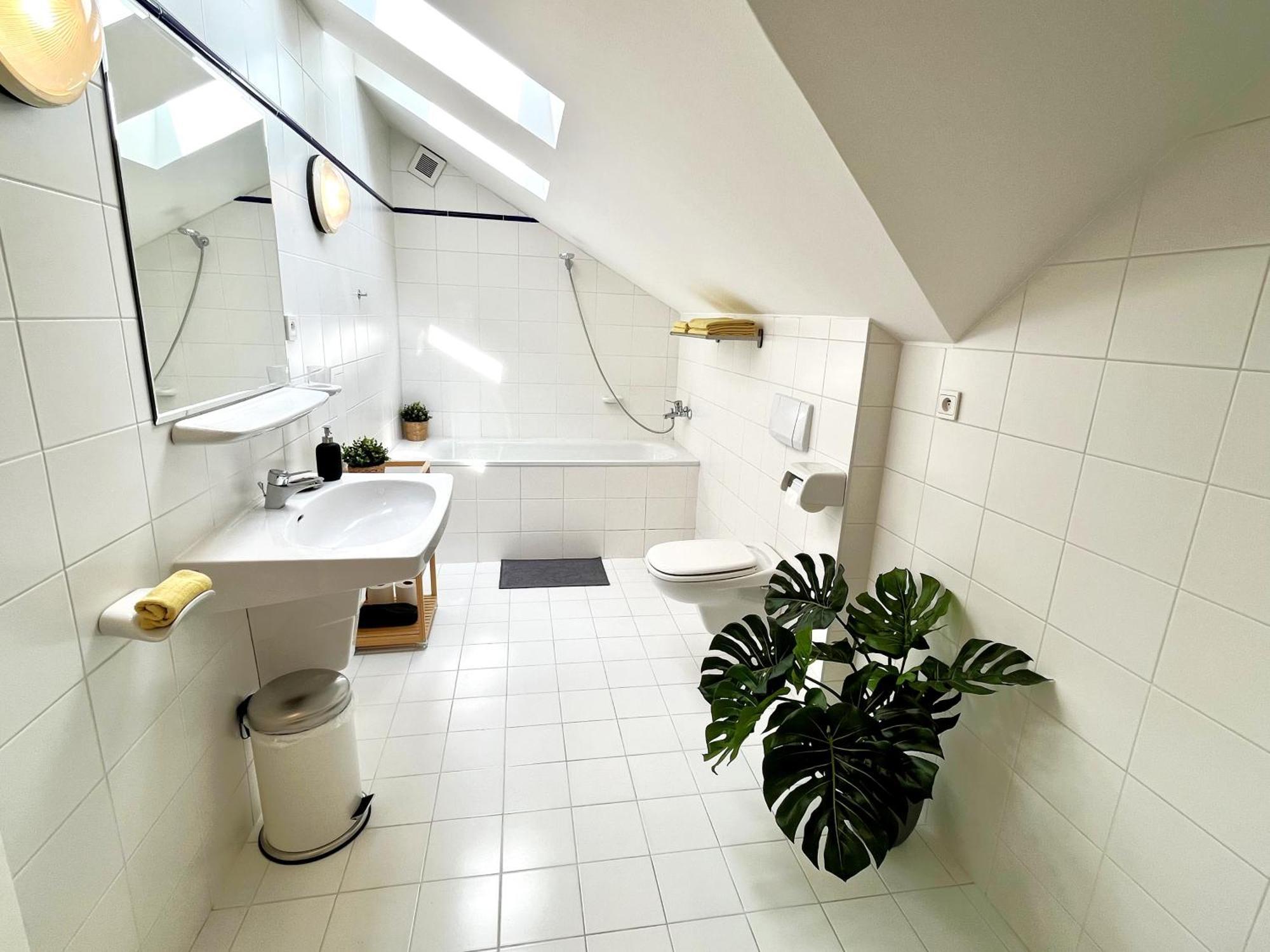 Dlouha Apartment Tabor