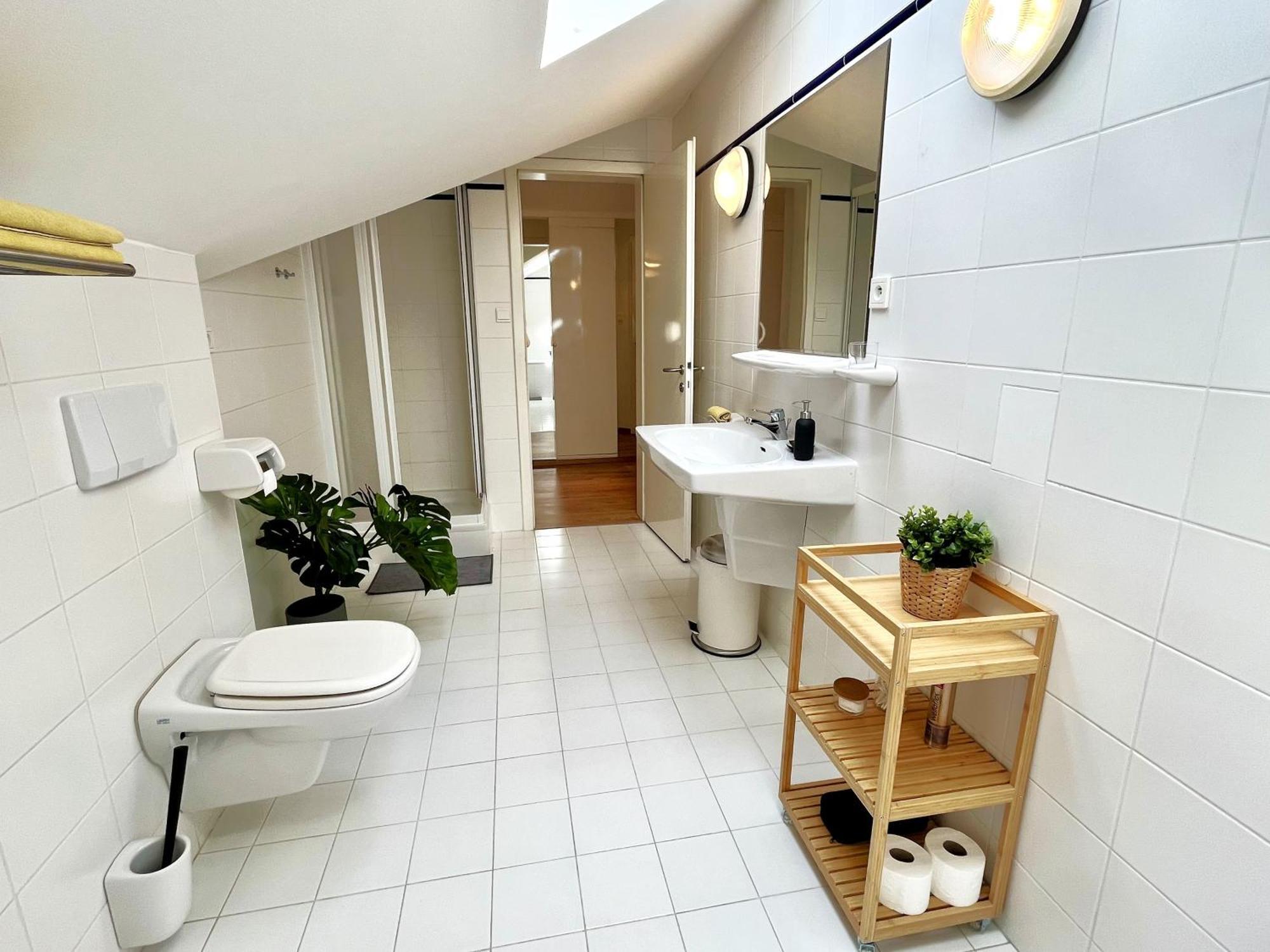 Apartment Dlouha *